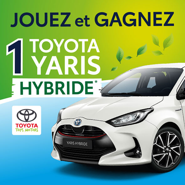 Jeu Toyota